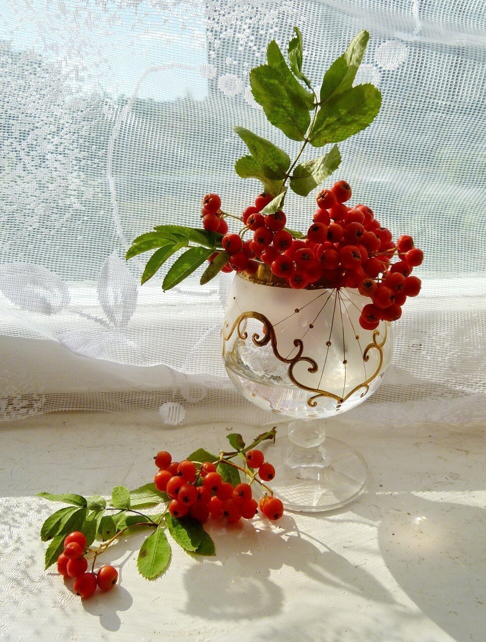 Чай с рябиной