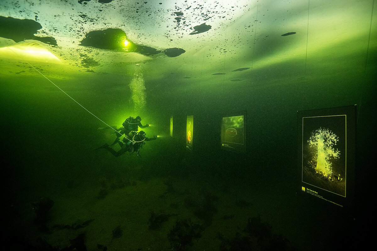 Виктор Лягушкин фотограф National Geographic
