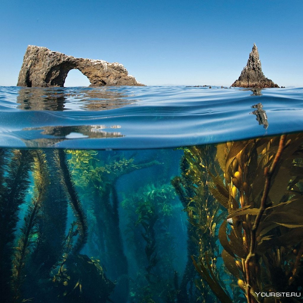 Необычные морские пейзажи