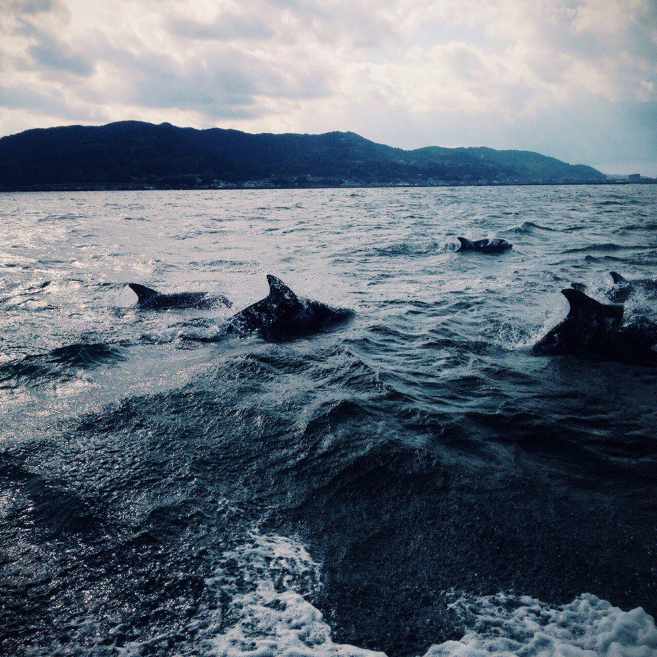 Море в тебе