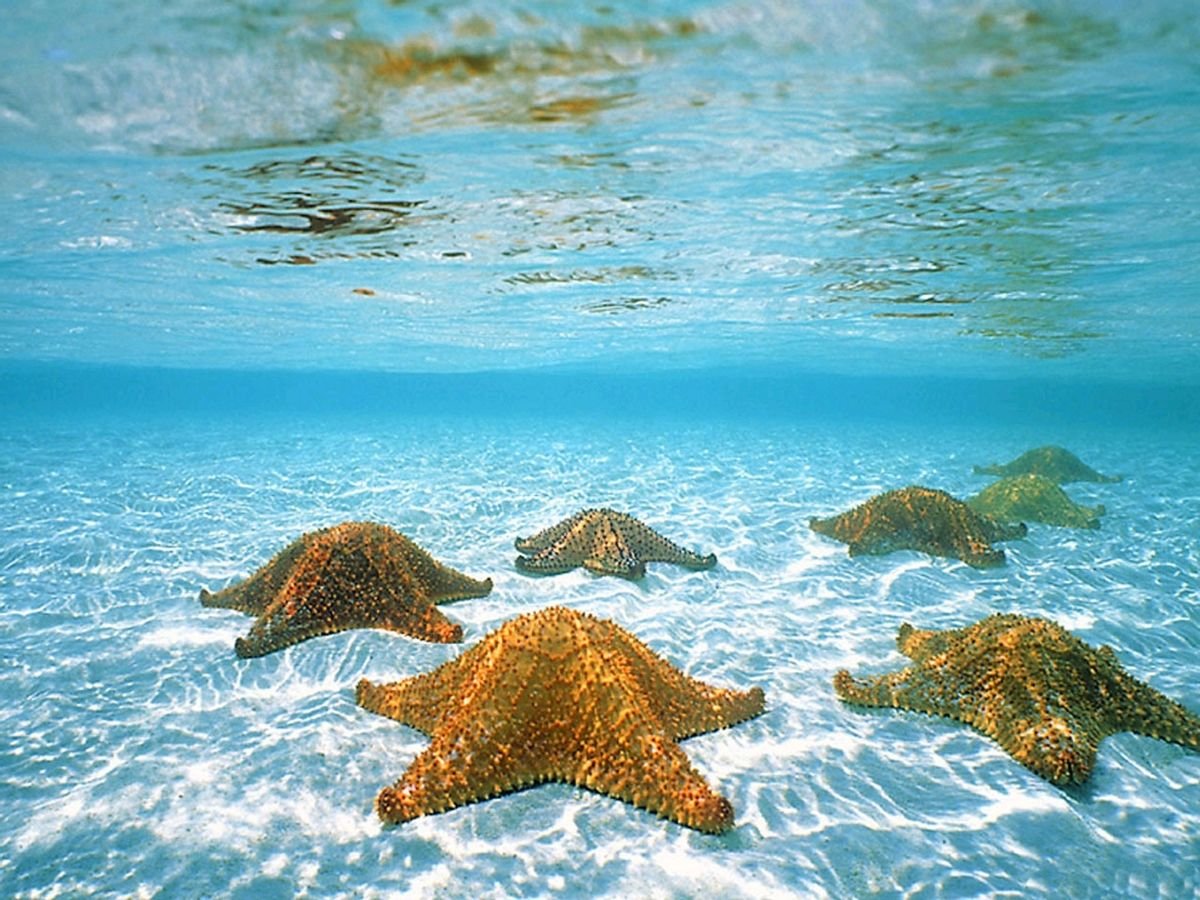 Море картинки