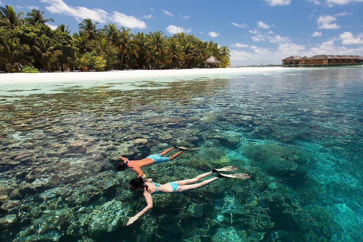 Vilamendhoo Мальдивы