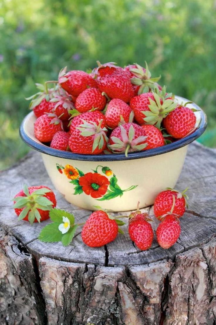 Клубника и земляника