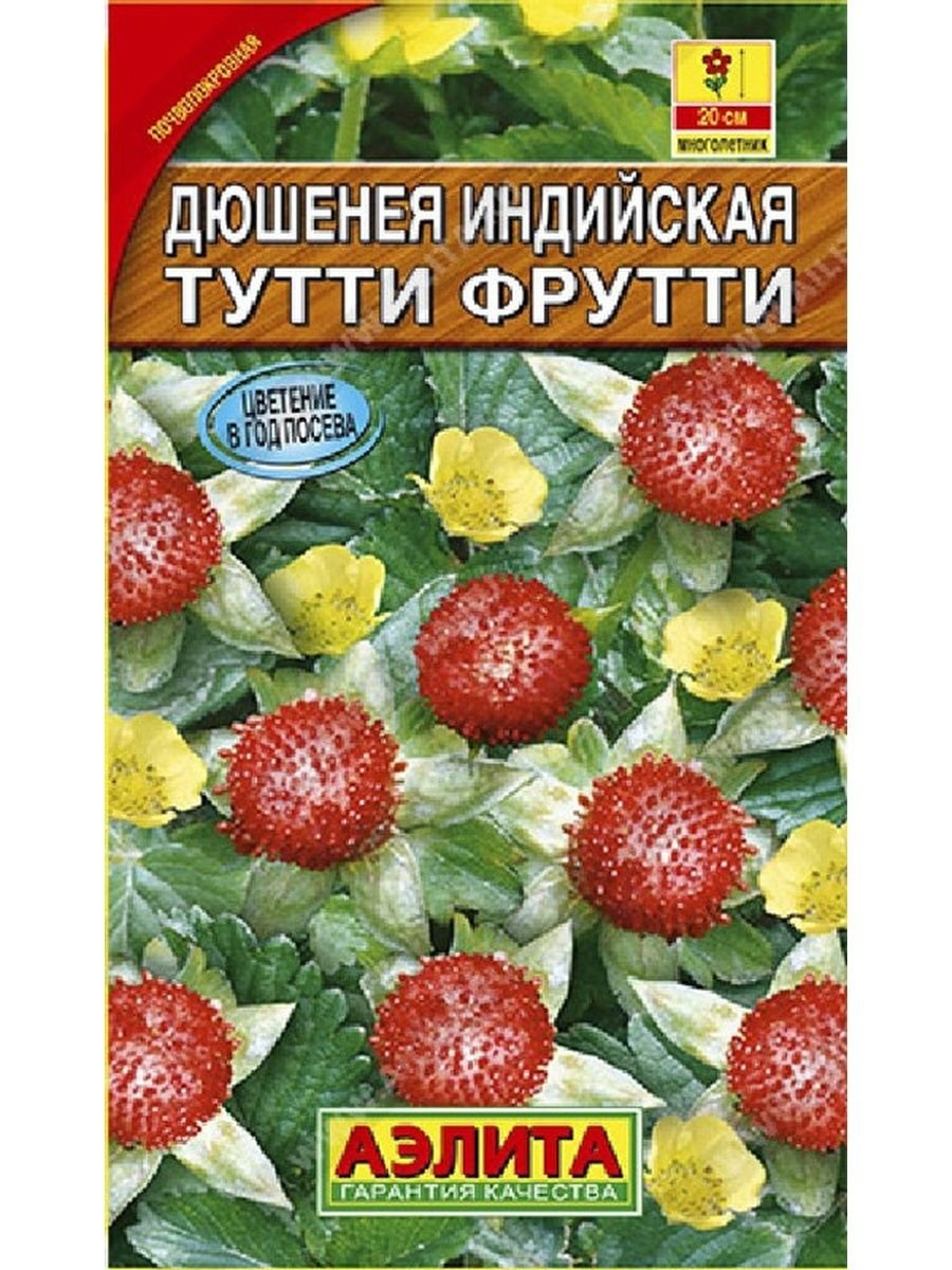 Лапчатка Тутти-фрутти