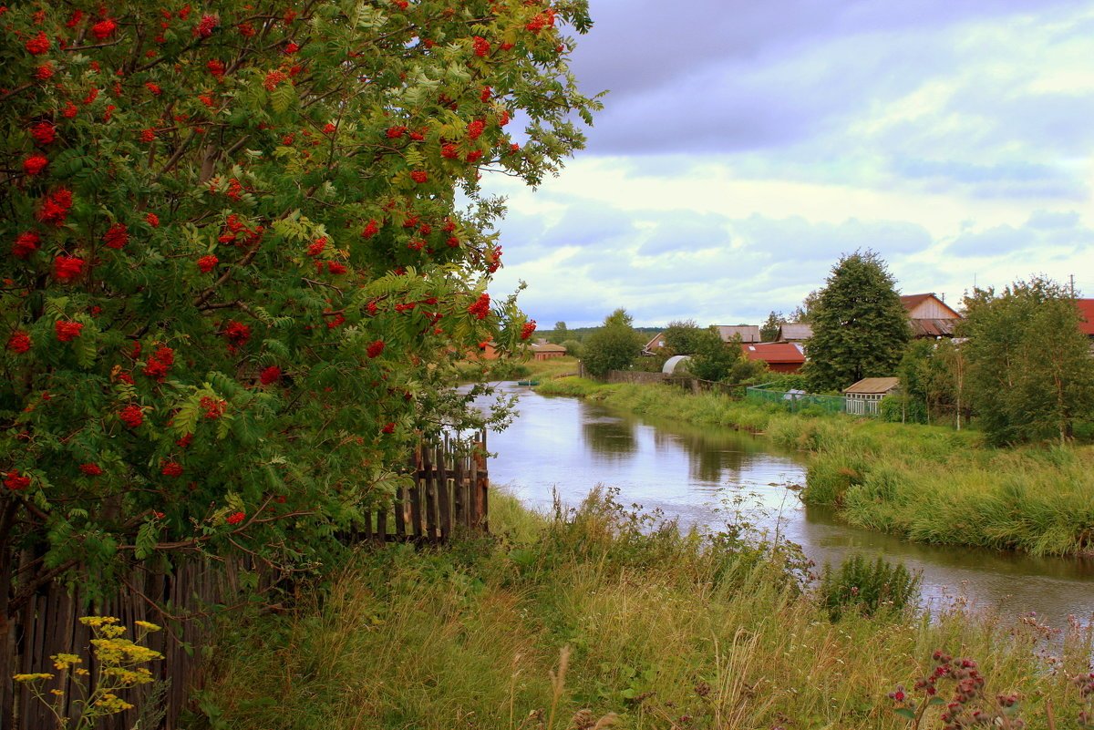 Река Березка рябина