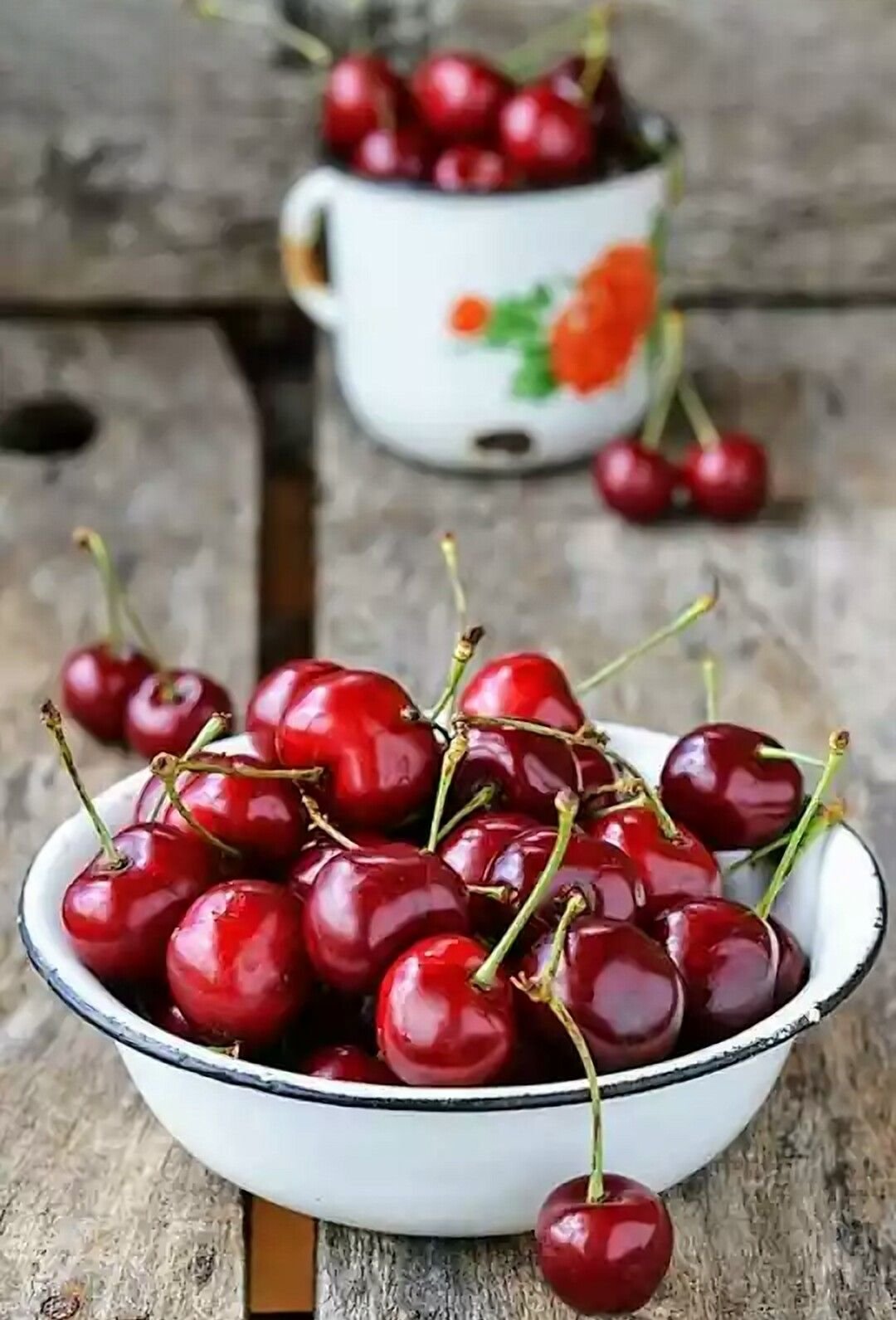 Вишня и черешня