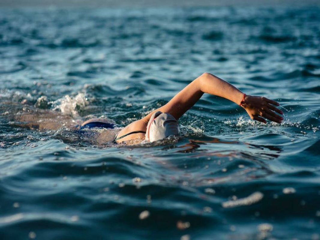 Коллекции nyashki на open Sea