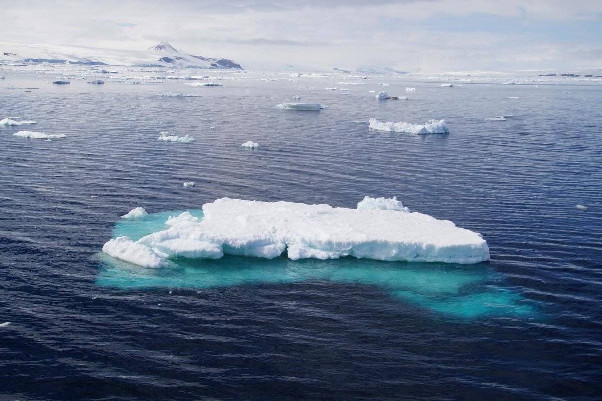 Море Уэдделла, Антарктида