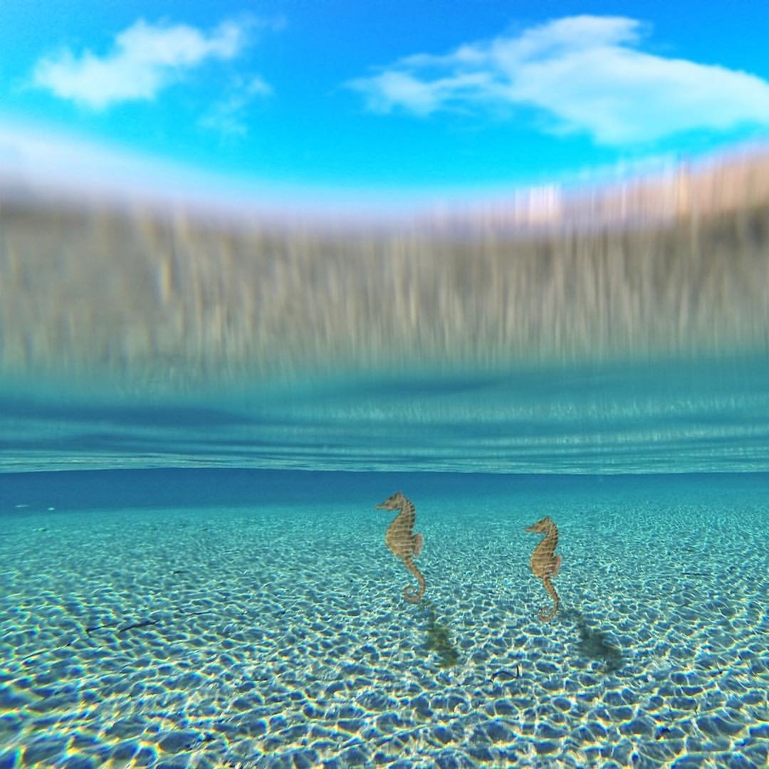 Clear Ocean