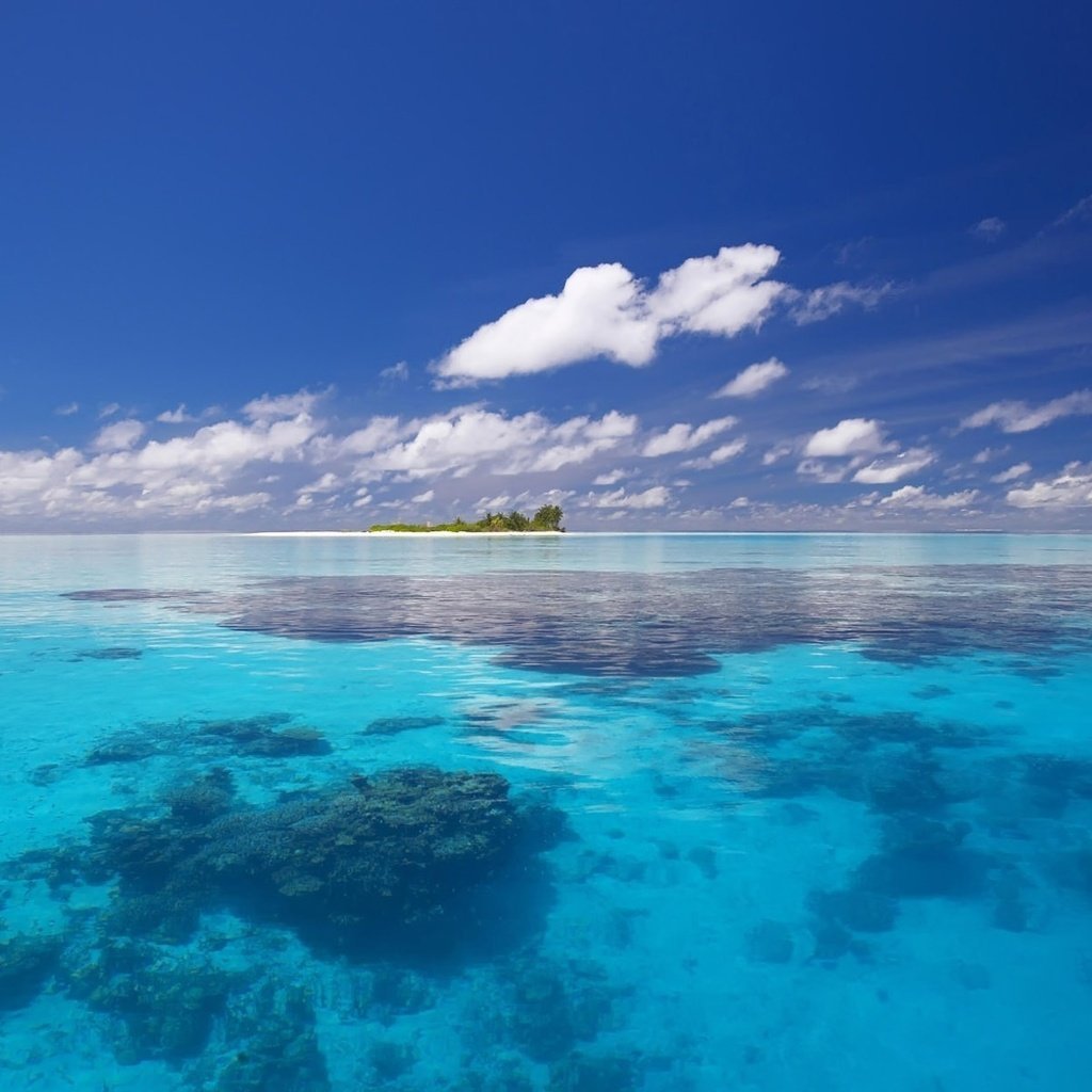 Карибское море