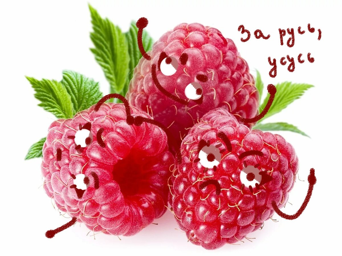 Малина с днем рождения картинки