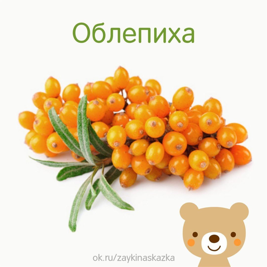 Карточки Домана ягоды облепиха