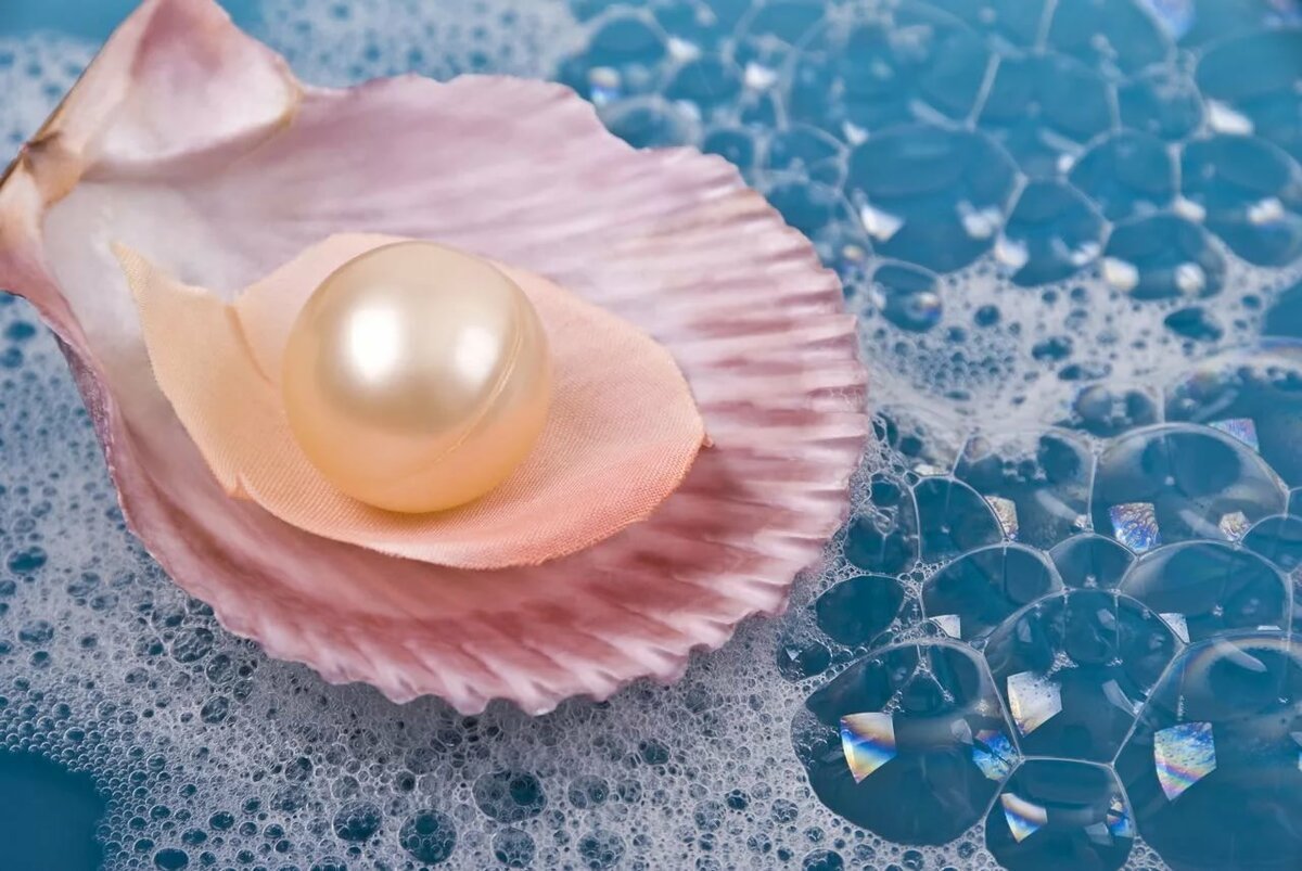 Ракушки жемчужницы морские