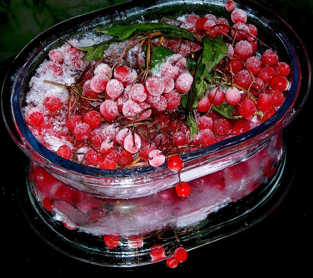 Калина северная ягода