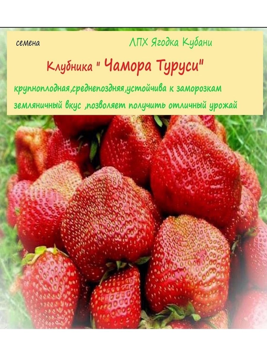 ЛПХ Ягодка Кубани