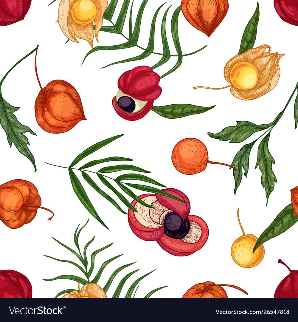 Фон лисички и ягоды рисунок