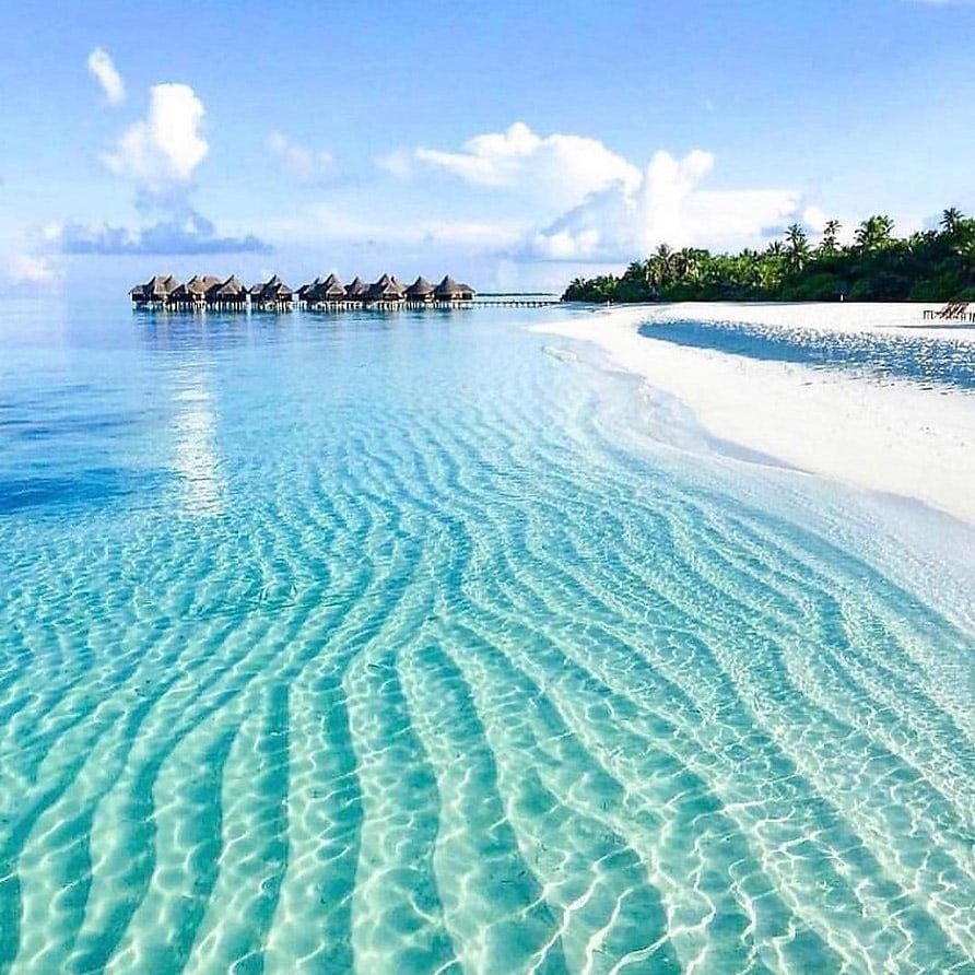 Coco Palm Dhuni Kolhu