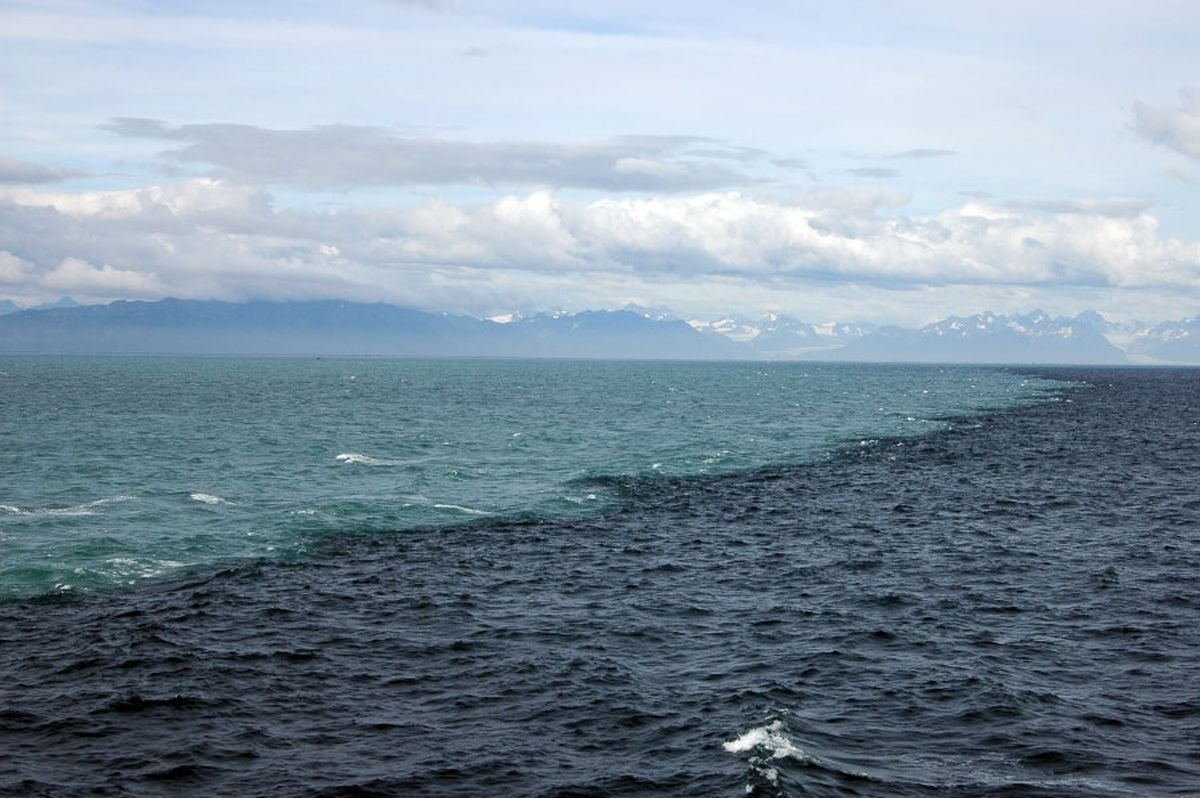 Скаген Дания два моря