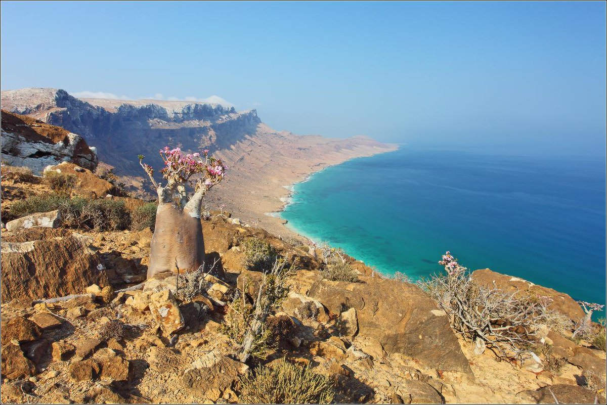 Socotra Island индийский океан
