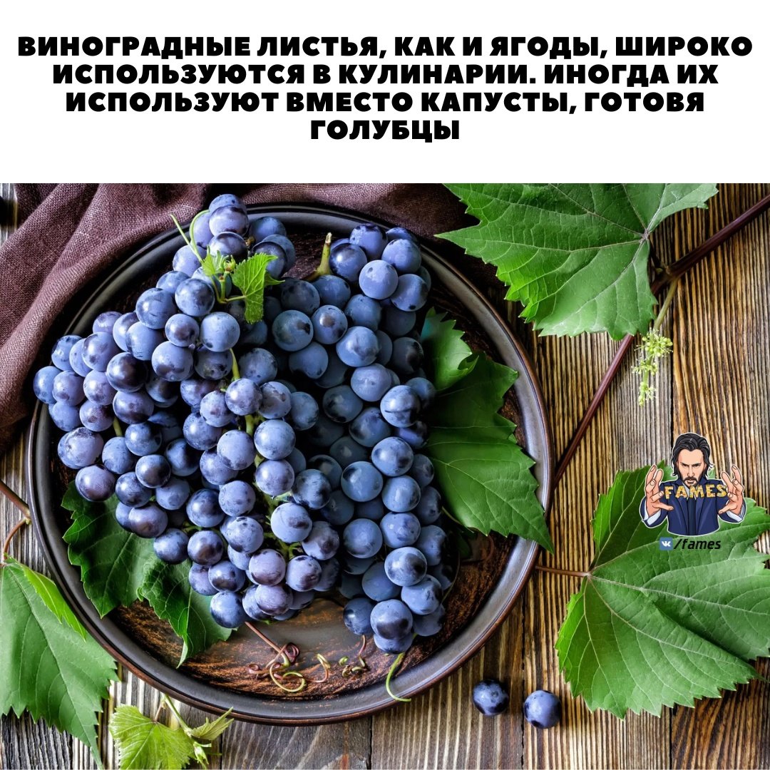 Ягода северный виноград