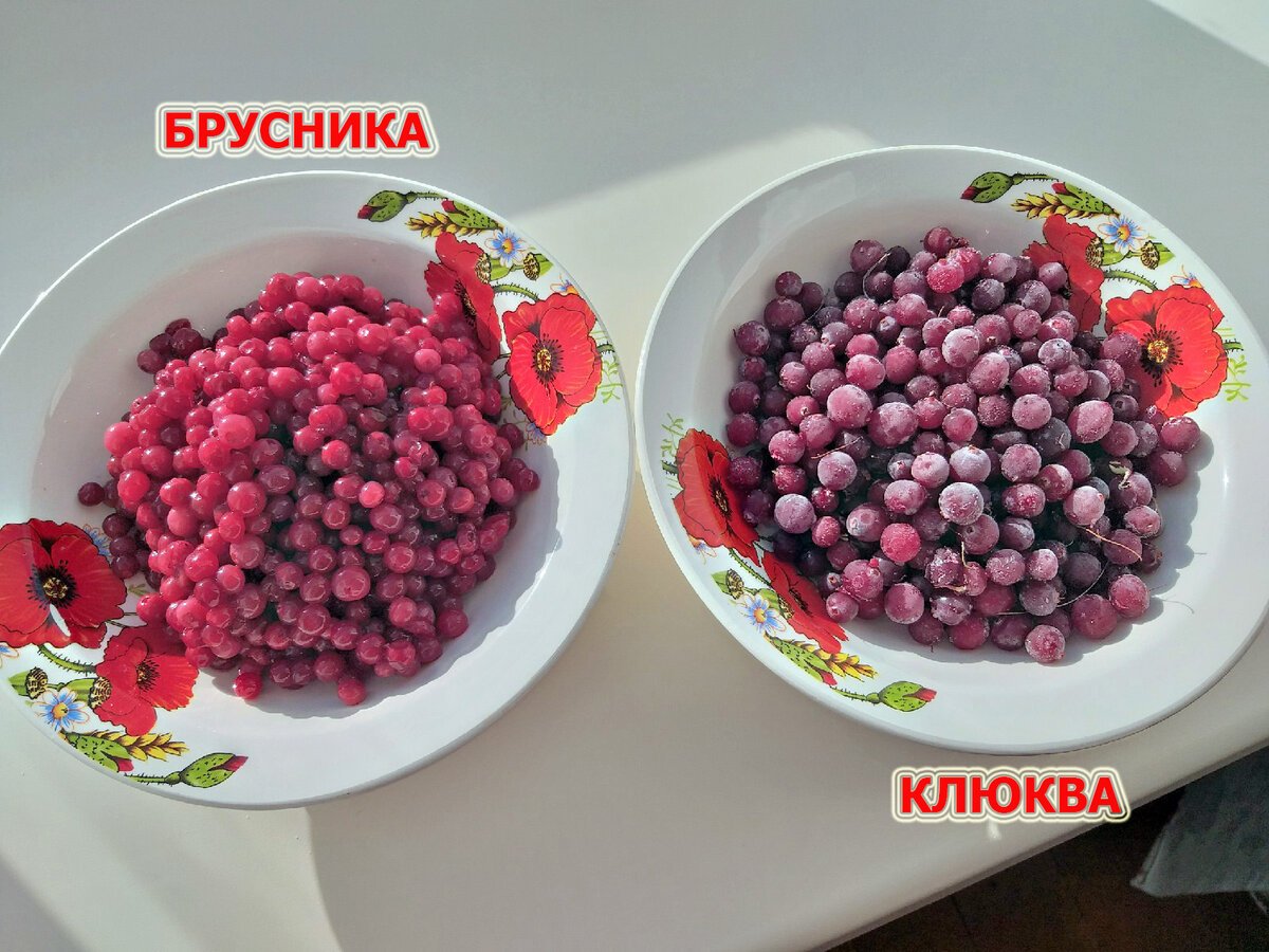 Клюква и брусника разница