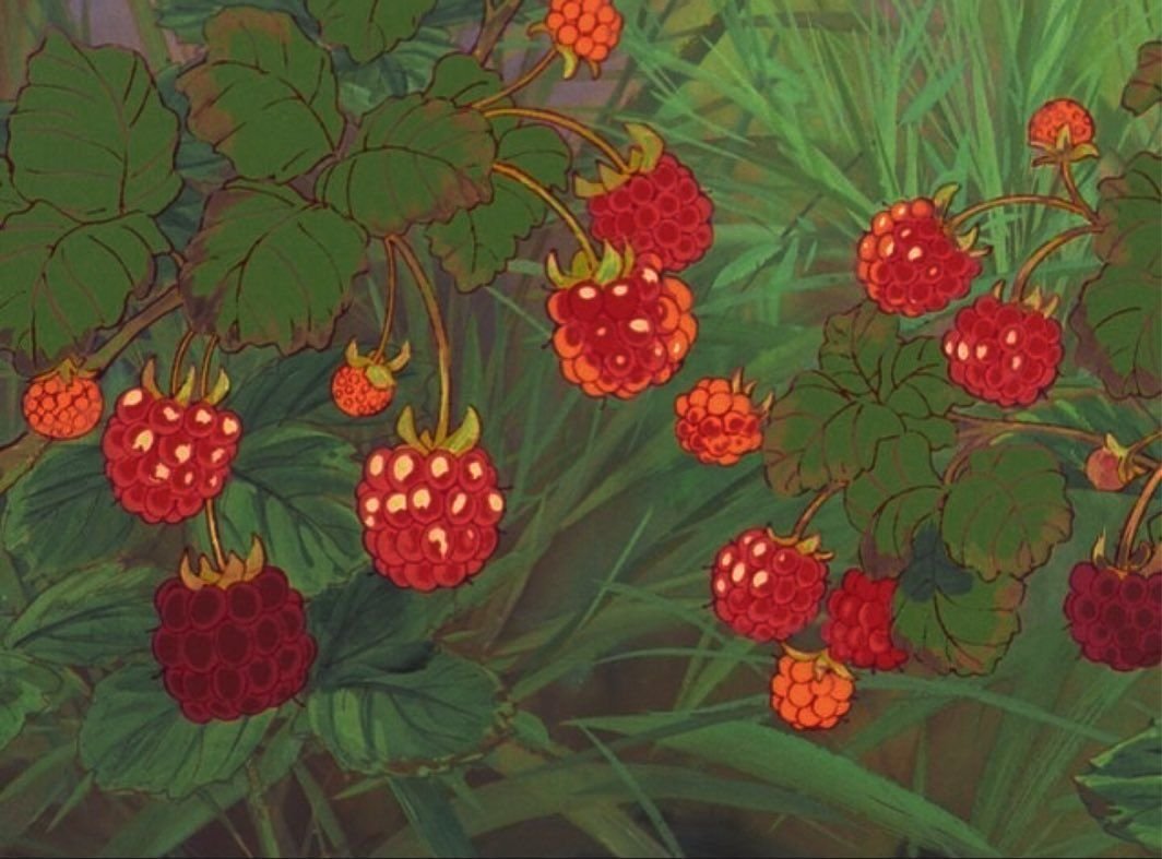 Goblincore и cottagecore aesthetic