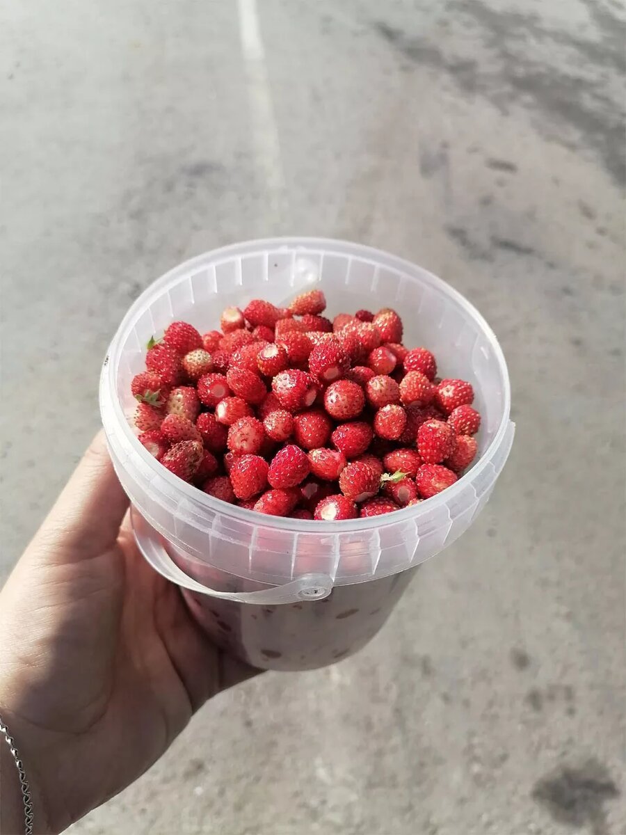Ягоды в ведерке