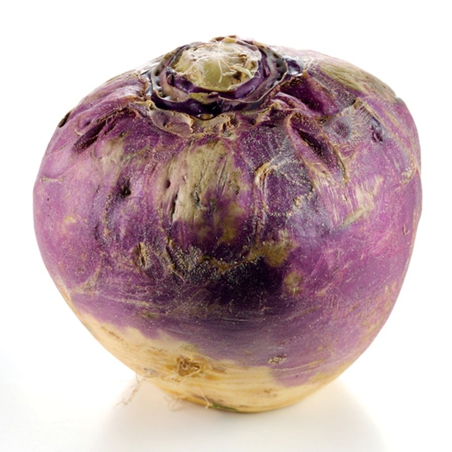 Брюква Brassica napobrassica
