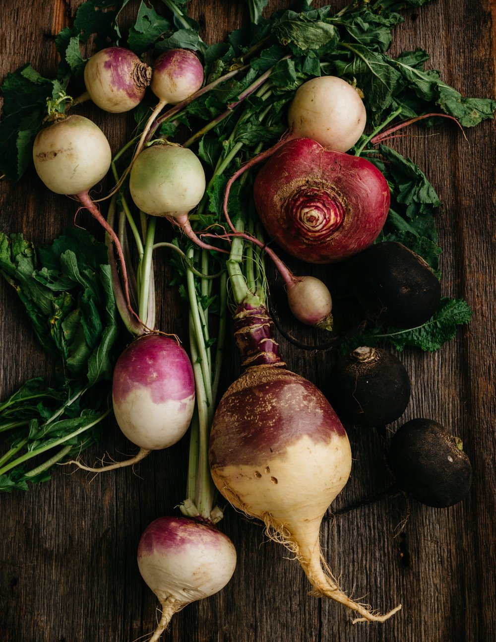 Брюква Brassica napobrassica