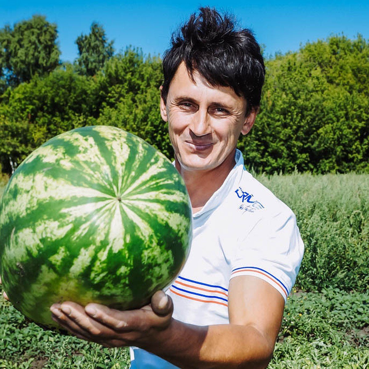 Бахча Паттинсон
