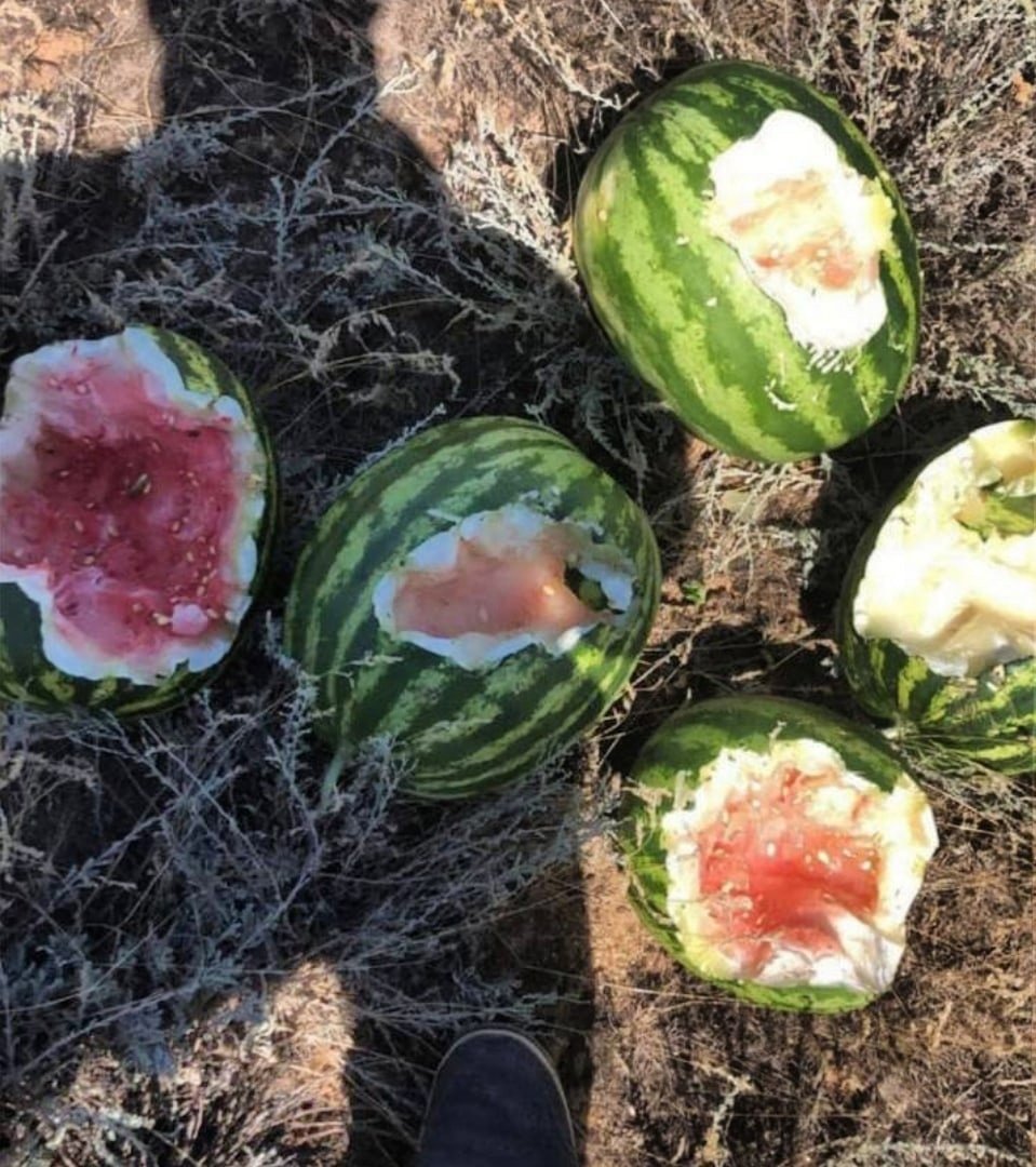 Донской Арбуз
