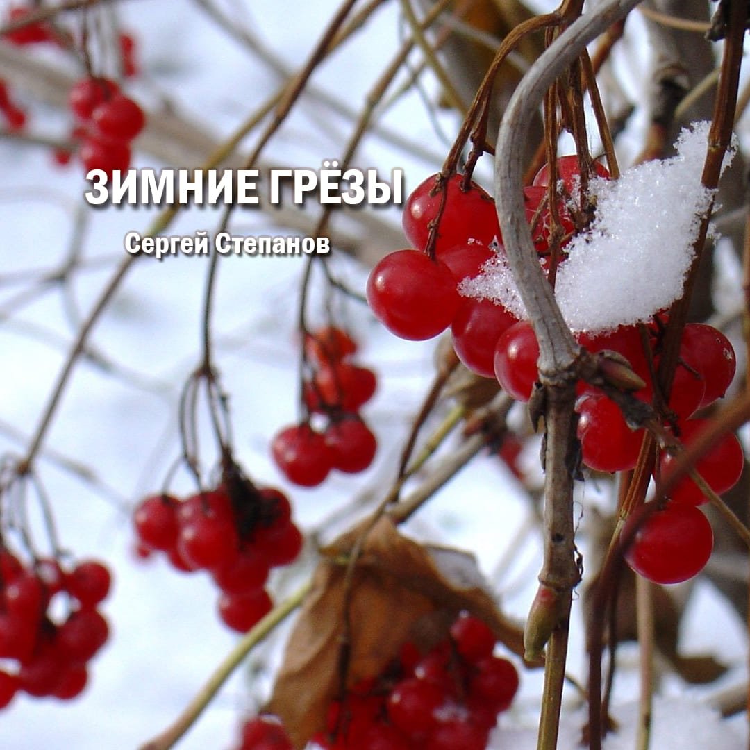 Калина красная Рябиновая веточка