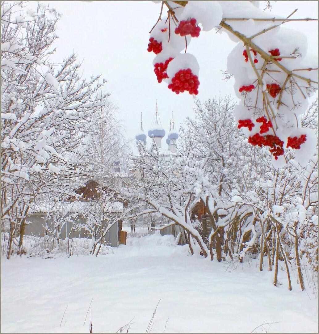 Пейзажи с рябиной зимой