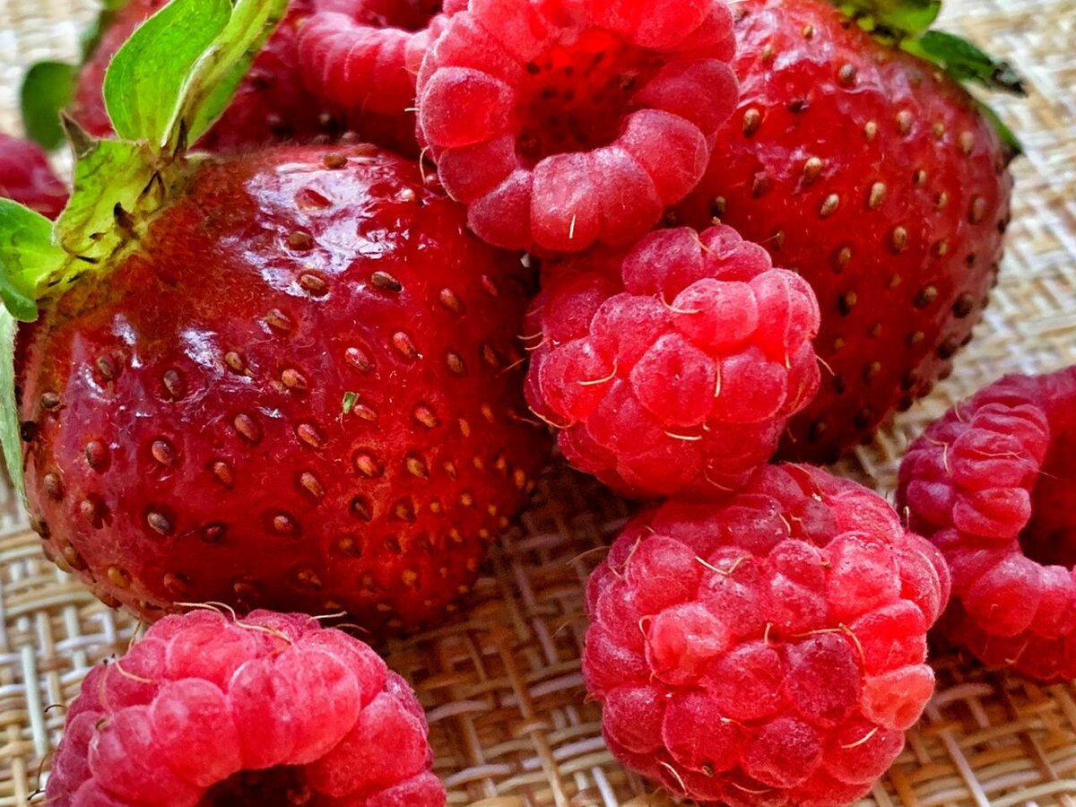 Малина малинник клубника