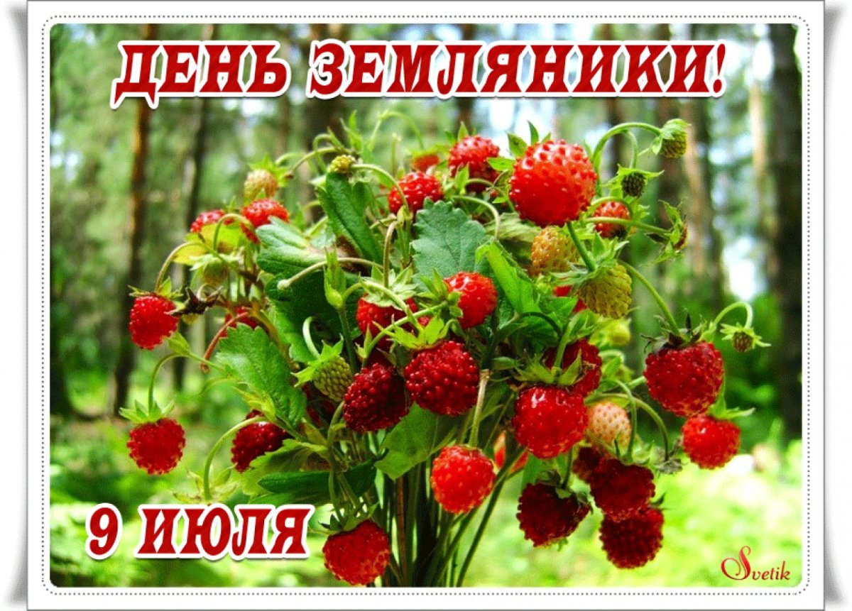Карточка земляника