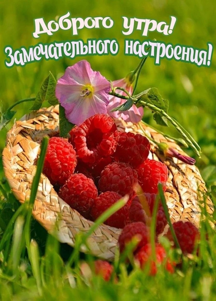 Лето ягоды