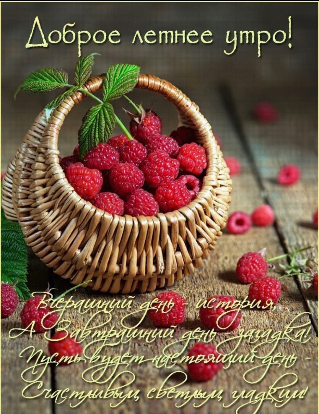Красивая малина