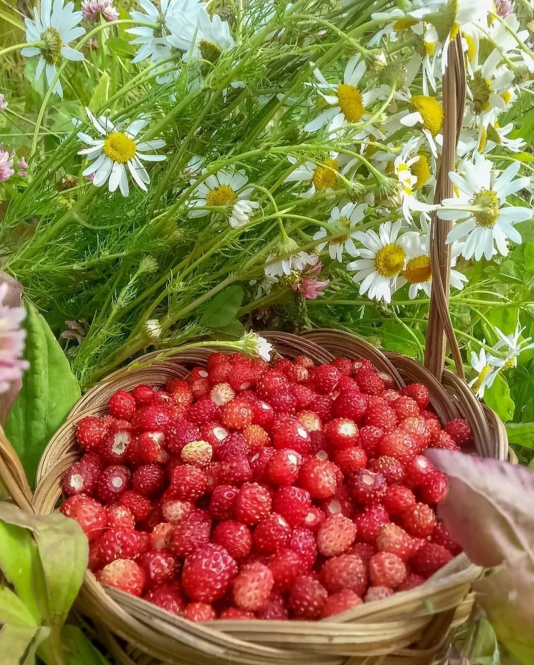 С летом