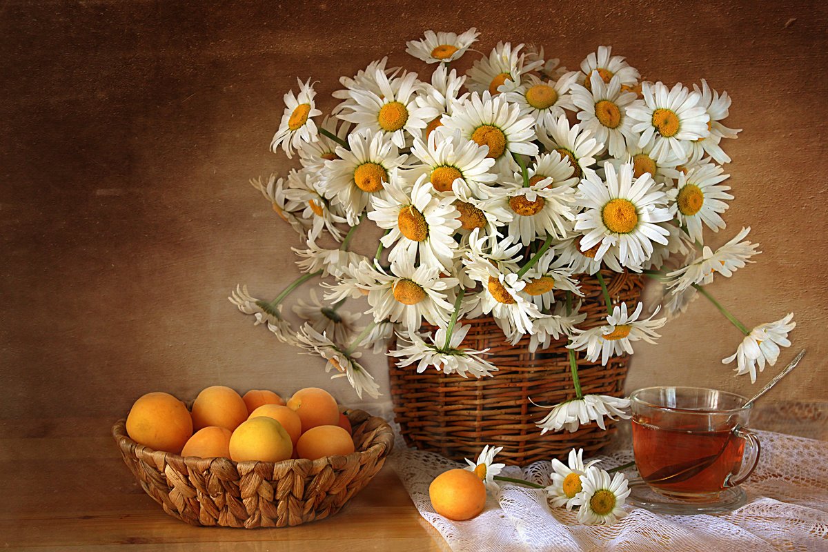 Фотонатюрморты с ромашками