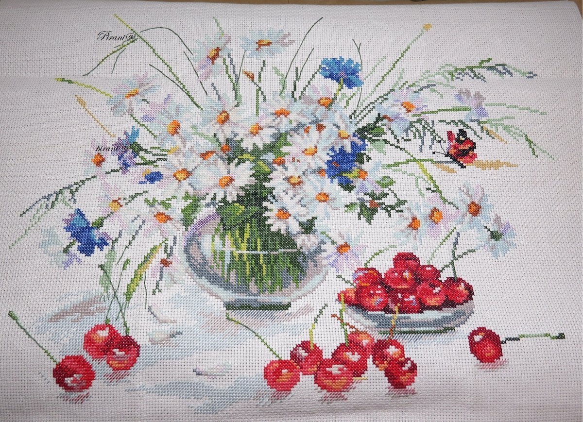 Ромашки и черешня