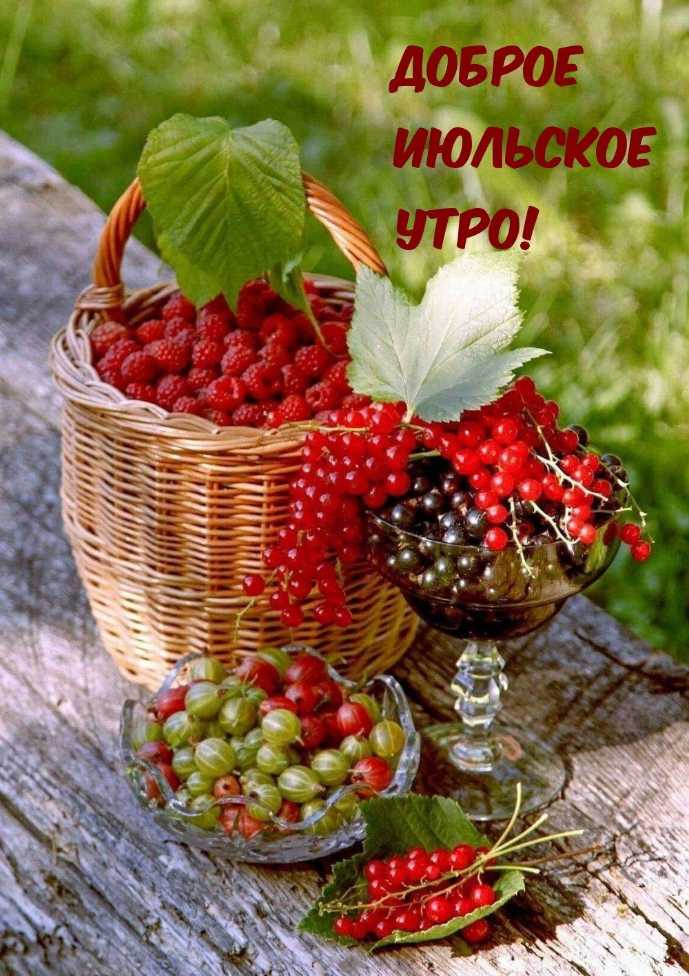 Летние ягоды