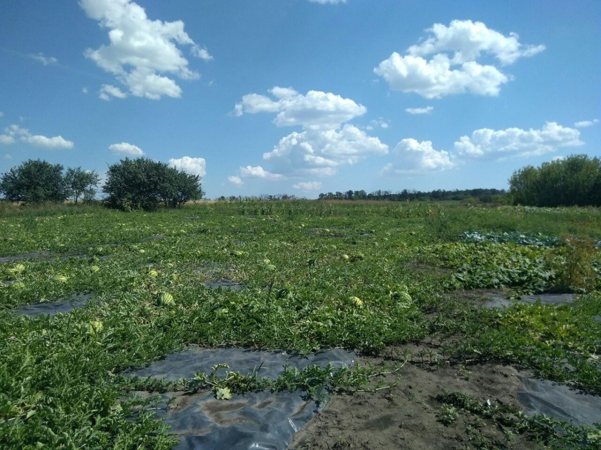 Белгородская область фото