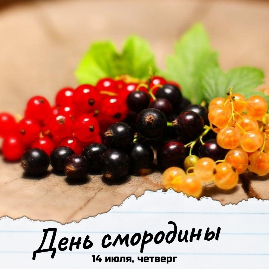 День смородины 14 июля