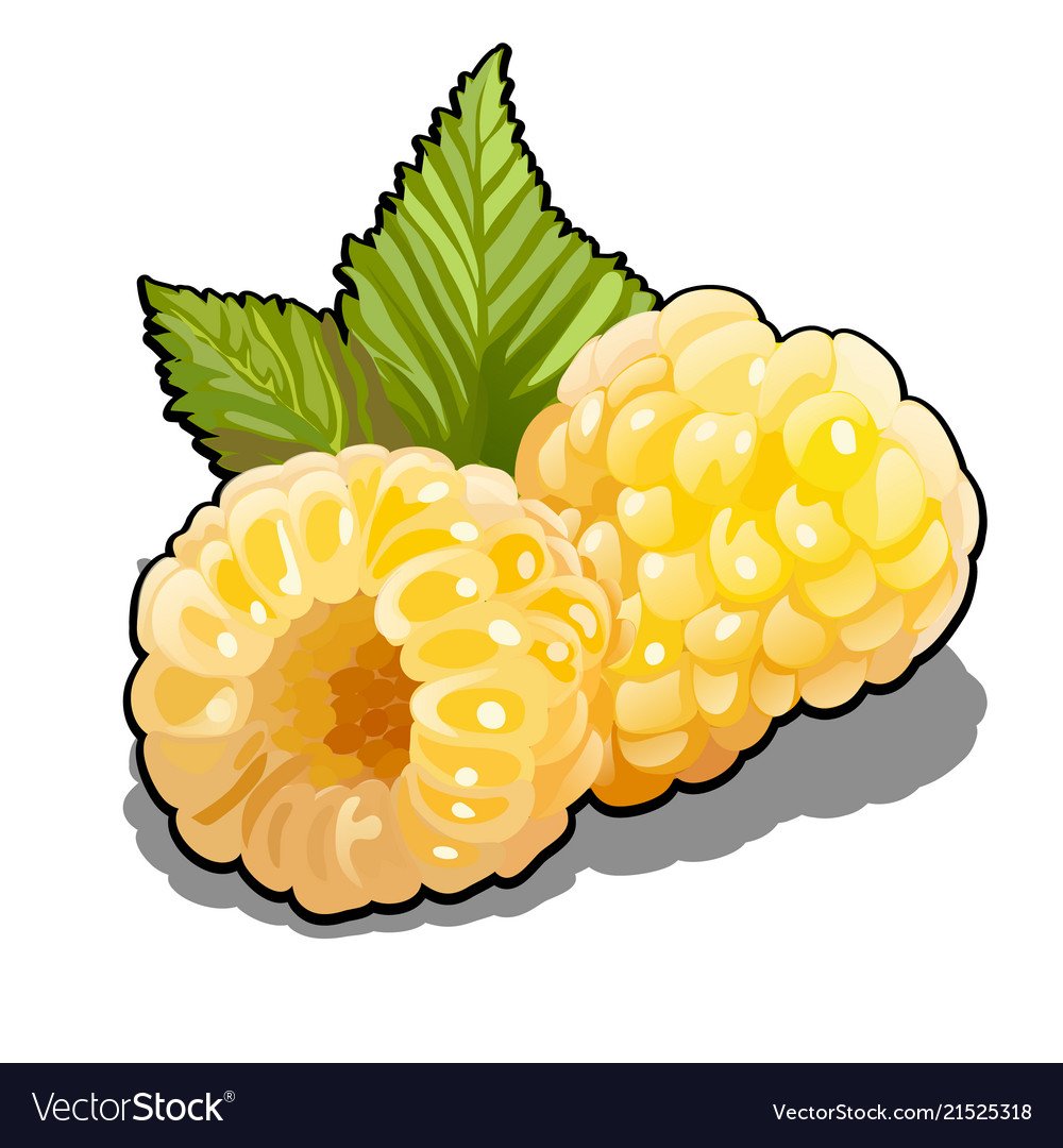 Мультяшная желтая малина
