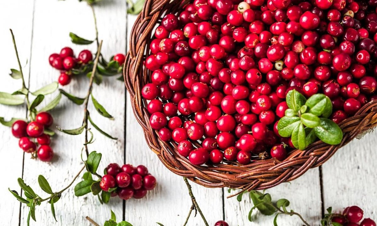 Cranberries ягода