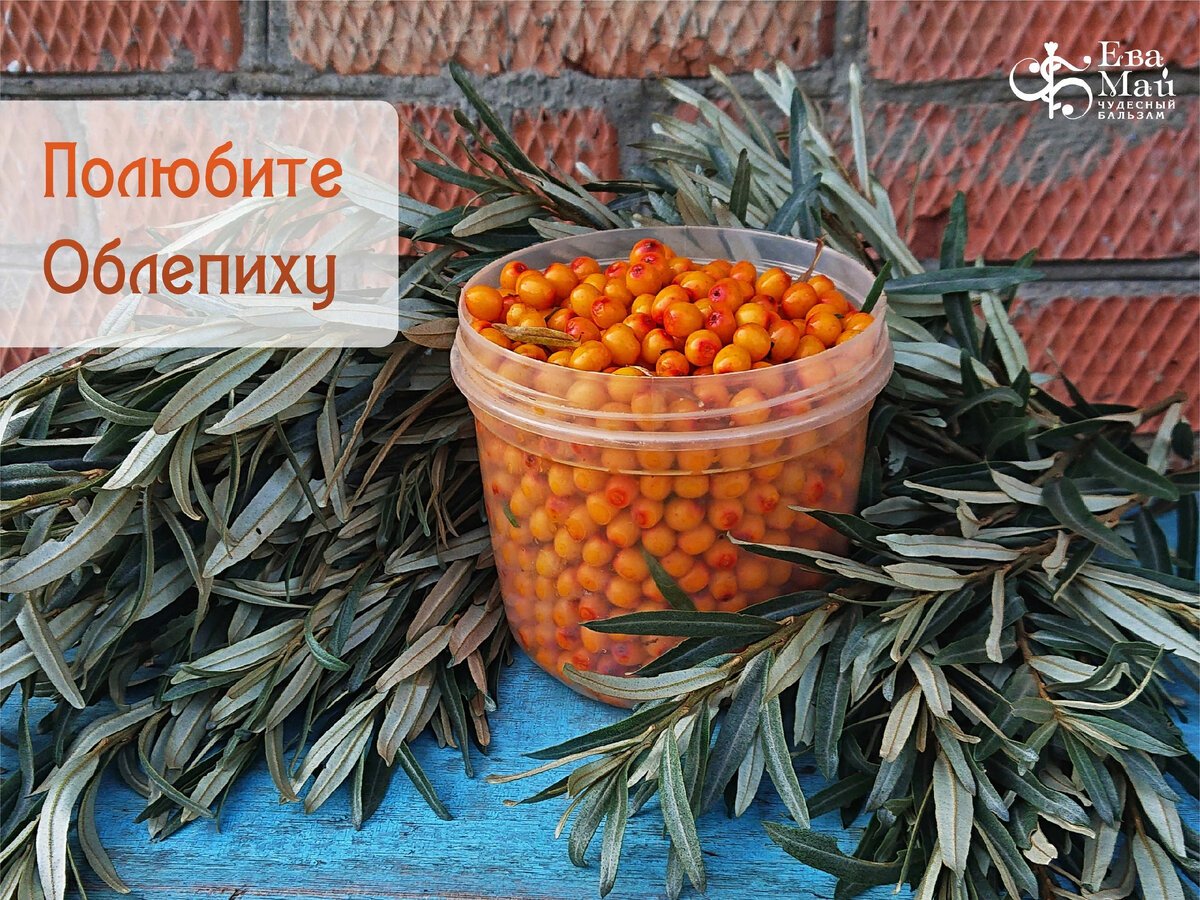 Энергетик из облепихи