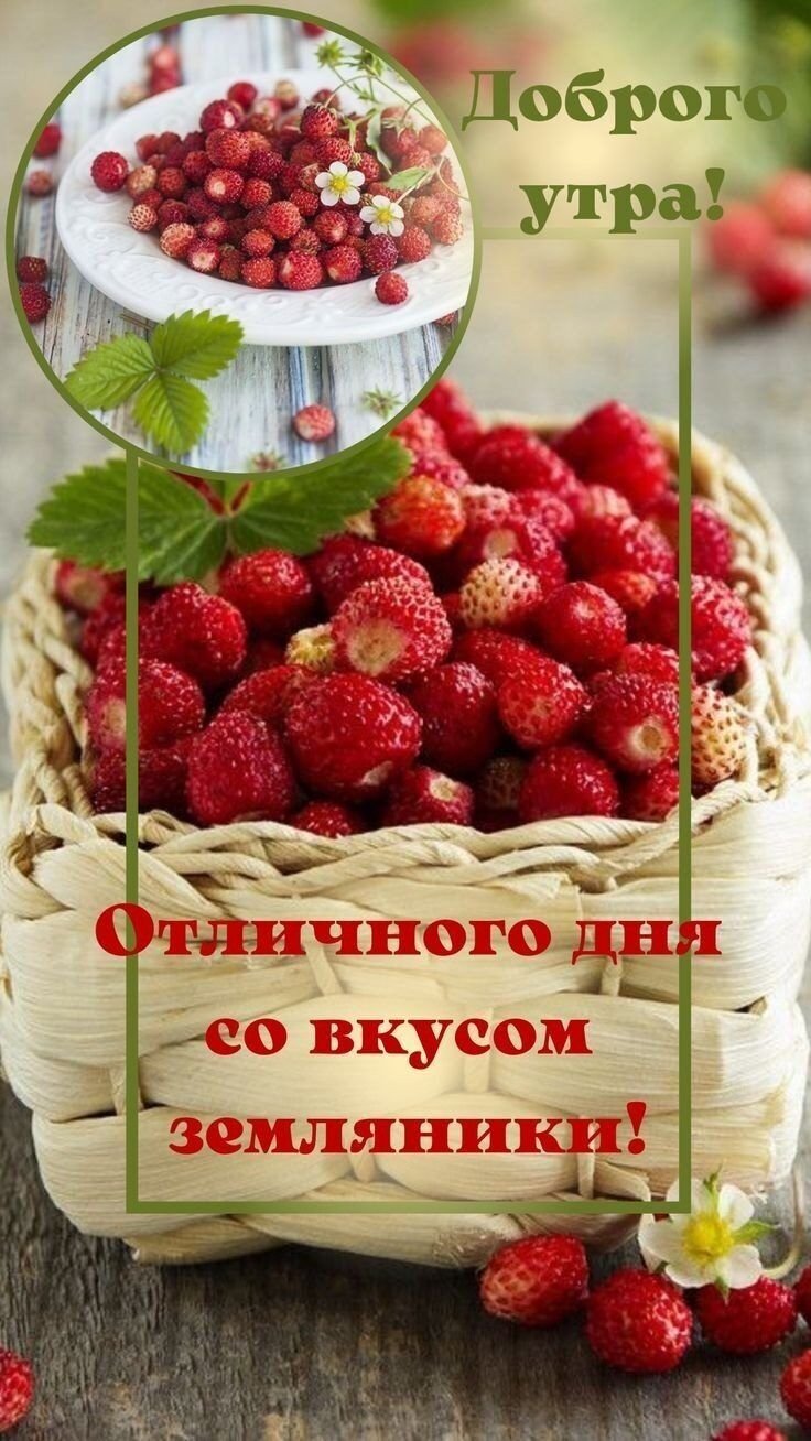 Утро ягоды солнце
