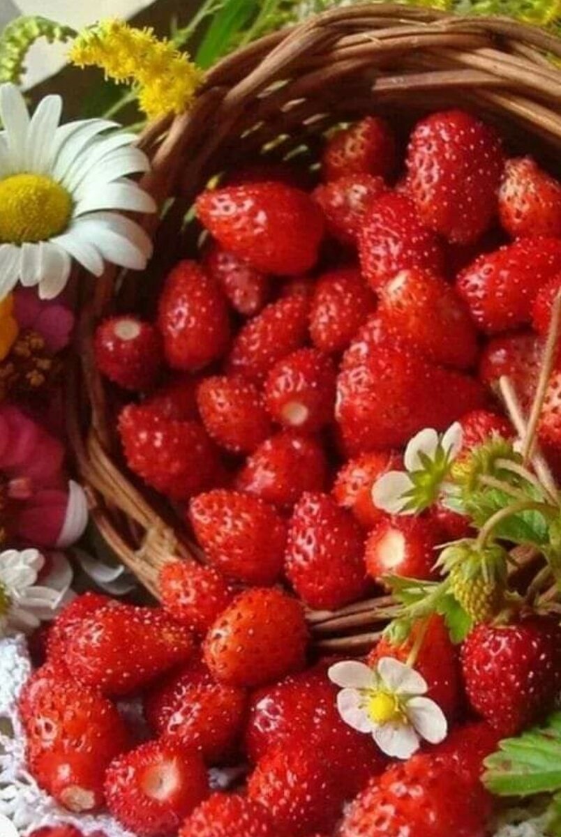 Цветы фрукты ягоды