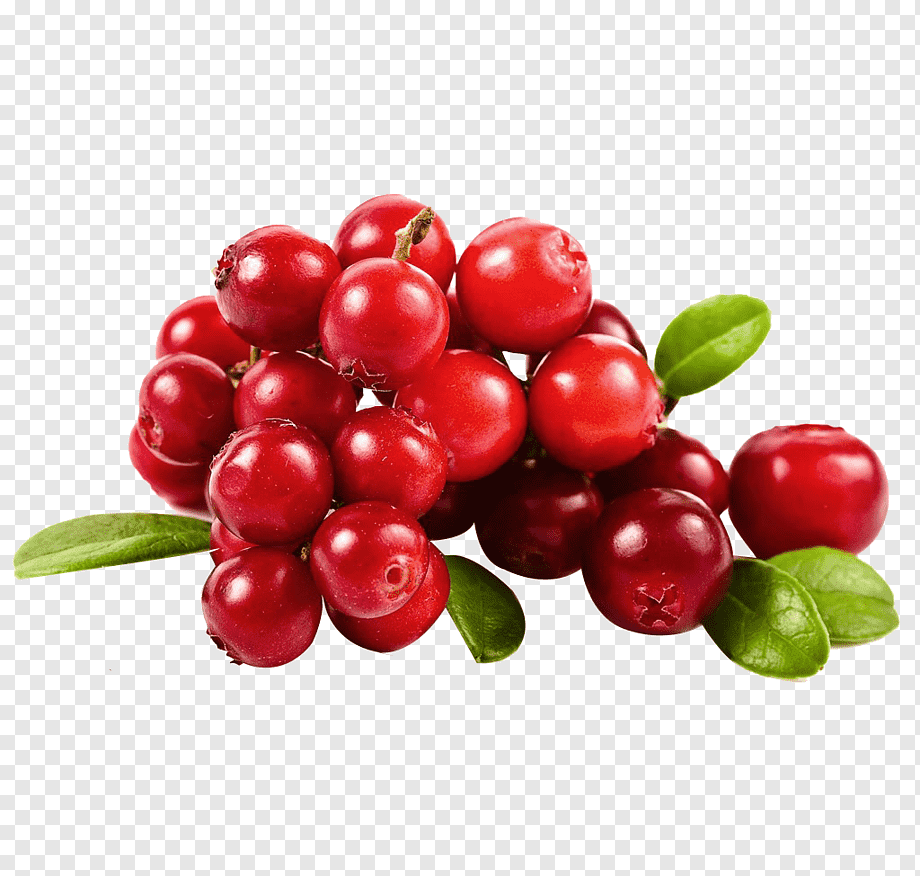 Cowberry брусника