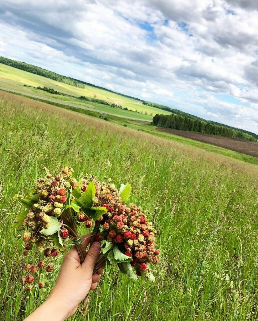 Полевые ягоды поспели?